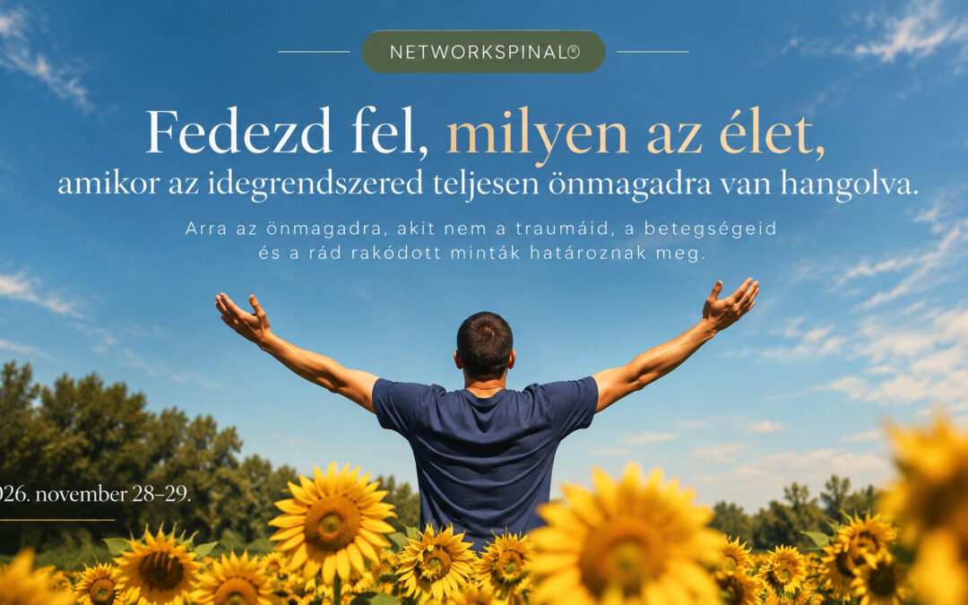NetworkSpinal® – 2026. november